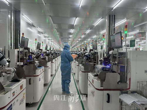 數字見證甜城內江 年產60億只產品，年入4億，營商環境為企業注入澎湃動能